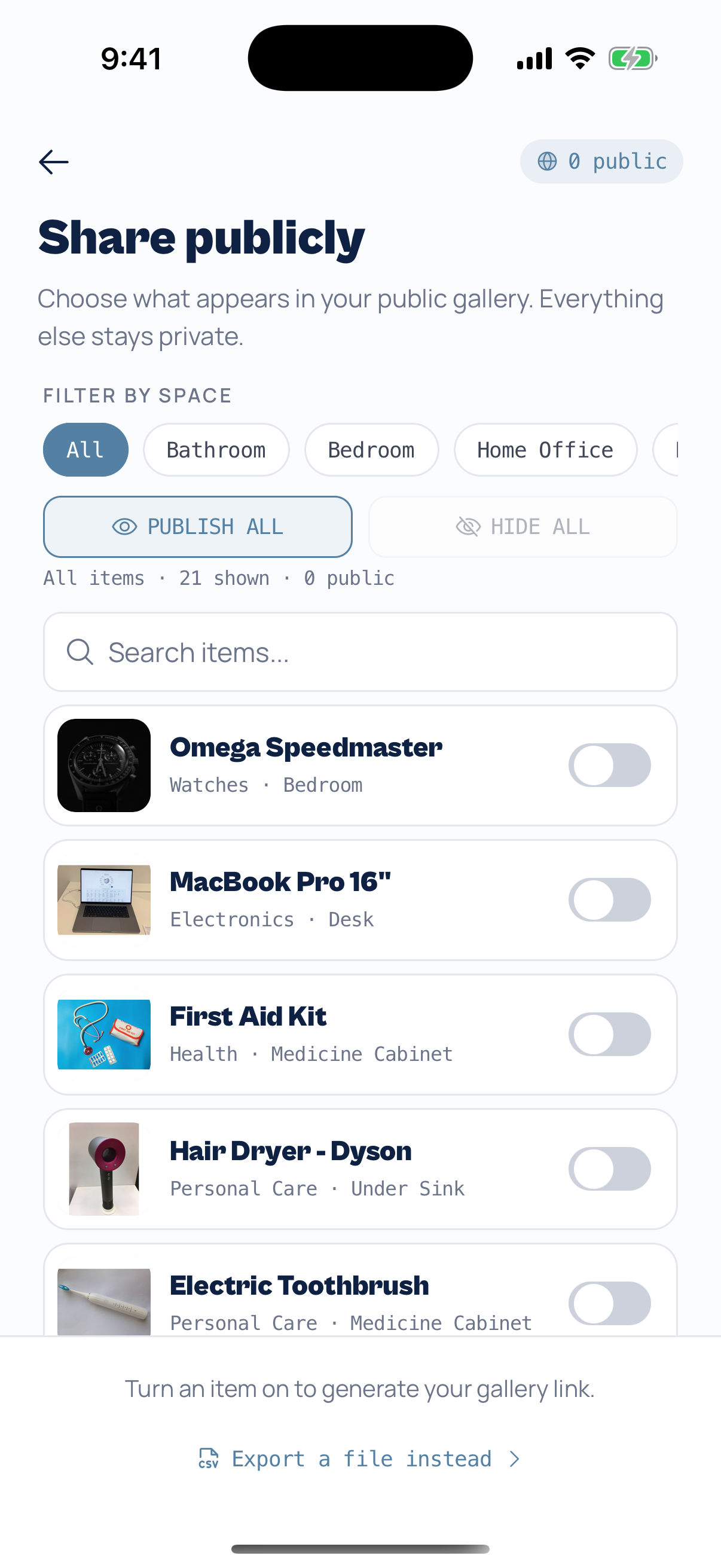 Share publicly screen — per-item and per-space toggles that build one public gallery link, everything else stays private